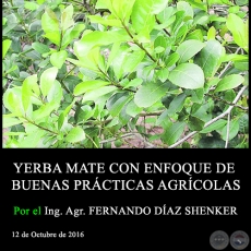 YERBA MATE CON ENFOQUE DE BUENAS PRCTICAS AGRCOLAS - Ing. Agr. FERNANDO DAZ SHENKER - 12 de Octubre de 2016